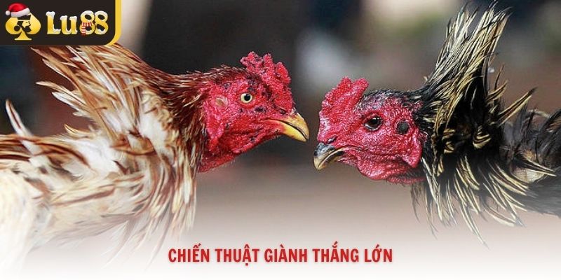Chiến thuật giành thắng lớn