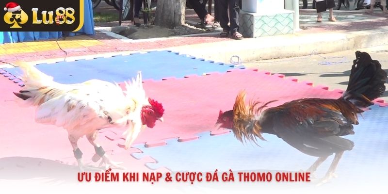 Ưu điểm khi nạp và cược đá gà Thomo online