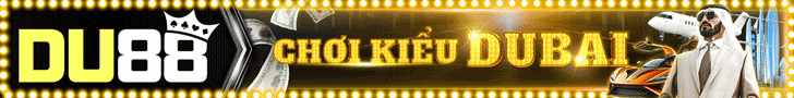 DU88 Banner